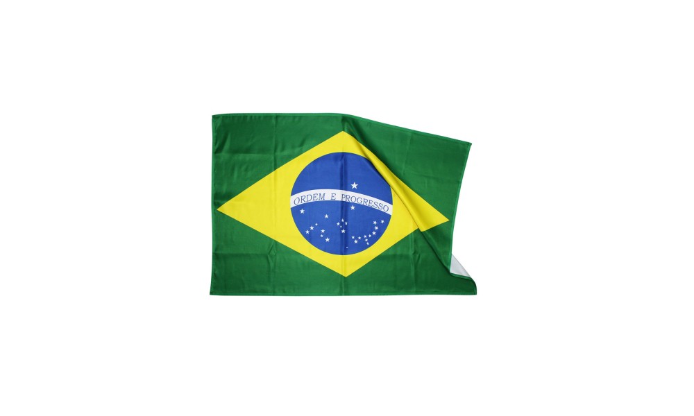 Bandeira do Brasil 40x28cm